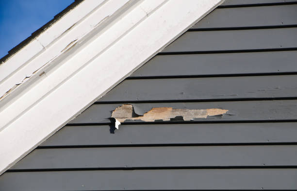 Siding for New Construction in Oceano, CA